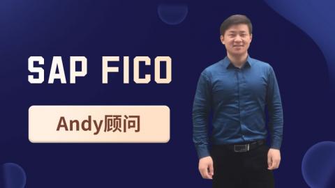 Andy顾问FICO教学视频