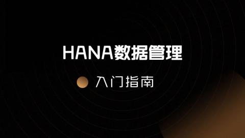 一台halcyon速锐刀多少钱